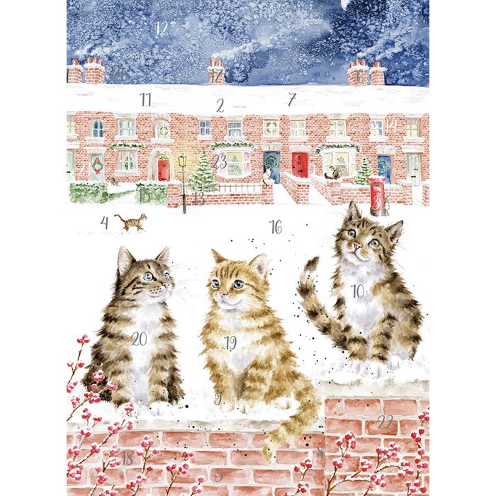 Cat christmas advent calendar Clearance